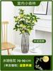 Sementes de Osmanthus Hidropônico em Vasos com Botões e Fragrância Forte para Interior, Escritório, Mesa, Cultivo em Água o Ano Todo
