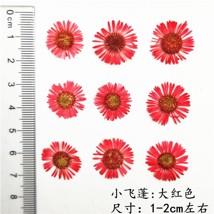 IMG20190111110826