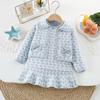 Conjunto de Suéter para Niña Otoño e Invierno Nuevo Traje de Dos Piezas Tejido de Piedra de Cazador para Bebé Estilo Occidental Chaleco Vestido Estilo Coreano