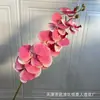 9 Cabezas de Orquídeas Mariposa 3D Estilo Francés para Boda y Decoración del Hogar, Flores Artificiales para Exhibición en Hotel y Arreglos Florales