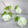 Flor Artificial Hortensia Bola de Nieve de Tres Cabezas Hortensia de Madera China Adornos Decorativos Decoración de Boda Lugar Hotel Floricultura