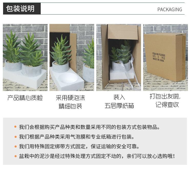 仙人掌小盆栽_18.jpg