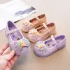 Zapatos de Cuero para Niñas Zapatos Casuales de Princesa Verano 2025 Nuevos Zapatos de Cristal Elsa Suela Suave Zapatos Mary Jane de Perla para Niña