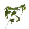 En Stock Vegetación Artificial Begonia de Tallo Largo Hojas Arreglo Floral de Boda Follaje de Arco Material de Hoja de Primavera Hojas de Bambú Pegadas