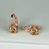 Pendientes de circonita cúbica morada de nueva ronda Cross-border Wish, modernos y versátiles, joyería al por mayor estilo europeo y americano