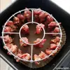 Rack para Air Fryer Doméstico de Aço Inoxidável Rack Vertical para Espetos Rack Suspenso para Forno Churrasqueira Rack para Espetos de Carne Suporte para Espetos Espetos de Churrasco
