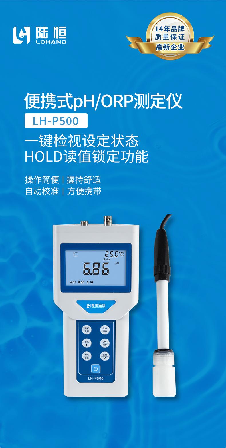 P500详情页_01