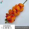 Padrão de modelagem 7 cabeça Phalaenopsis cola sentir Phalaenopsis estúdio fotográfico adereços flor de simulação janela bonita Chen