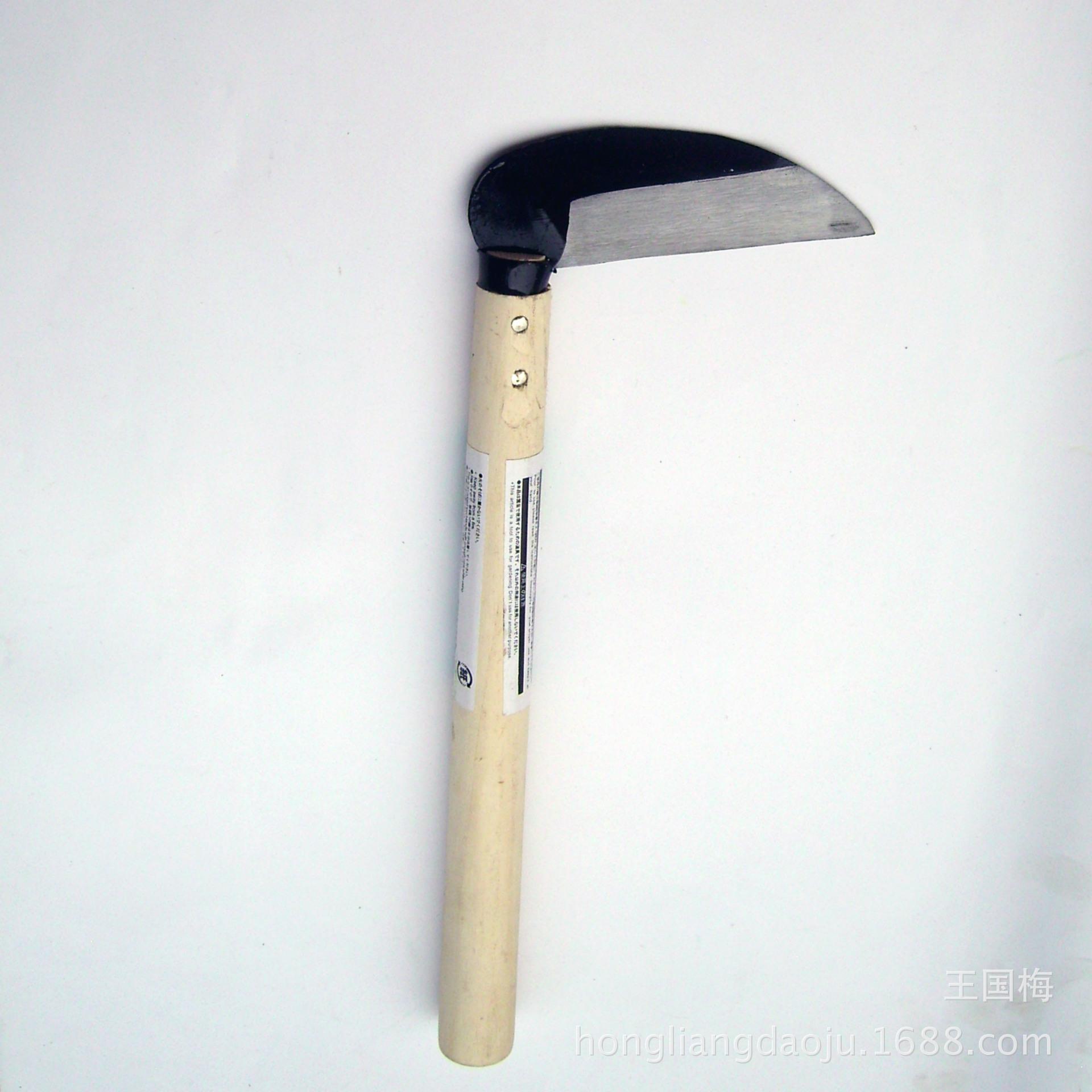 DSCI0049