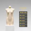 Tienda de Ropa Interior Modelo Accesorios de Ropa para Mujer Tienda de Ropa Sujetador Push-Up de Media Longitud Lencería para Mujer Modelo Maniquí de Cuerpo Humano de Media Longitud