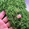Materiais para Cenas em Miniatura, Musgo Sintético, Gramado para Paisagismo, Materiais Criativos Feitos à Mão para DIY