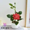 Mini Bonsái de Rosa de Terciopelo Artificial Cuidadosamente Seleccionado para Decoración de Interiores del Hogar, Flores de Seda, Plantas Artificiales y Plantas Artificiales en Maceta