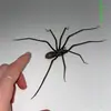 Araña de plástico explosiva transfronteriza como decoración araña de decoración de plástico decoraciones de parodia