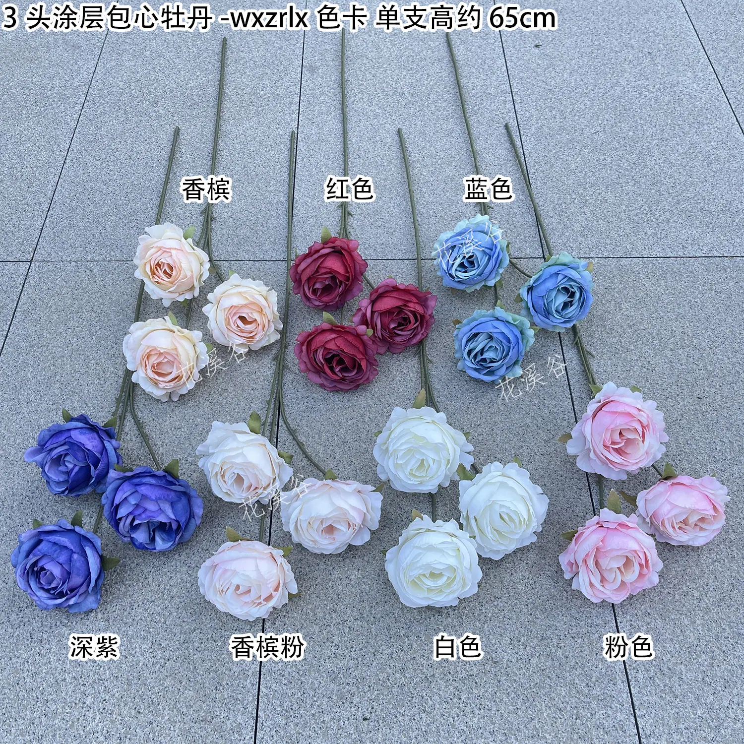3头涂层包心牡丹-wxzrlx 色卡 花溪谷.jpg
