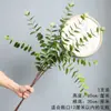 Fonte Atacado Verde Eucalipto Nórdico Planta Paisagismo Flores Artificiais Sala de Estar Vaso Enfeites Arranjo de Flores de Casamento Flores e Folhas Secas
