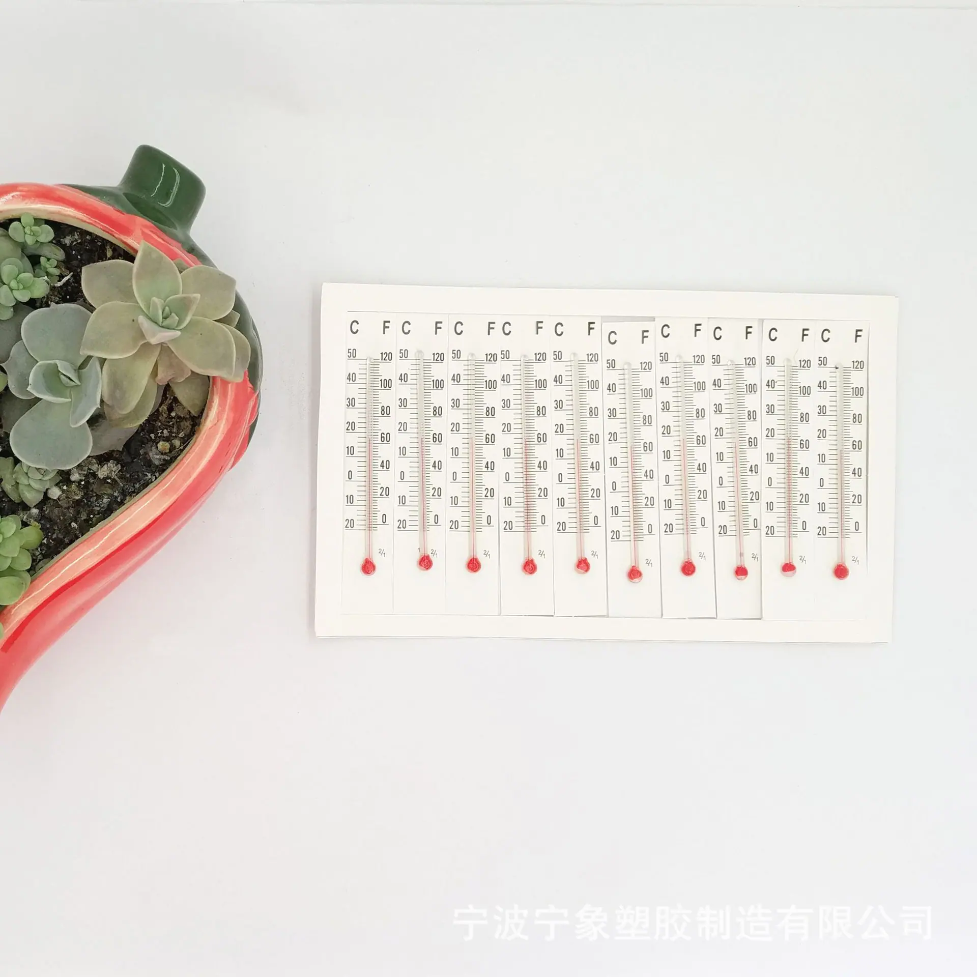 纸板8.0
