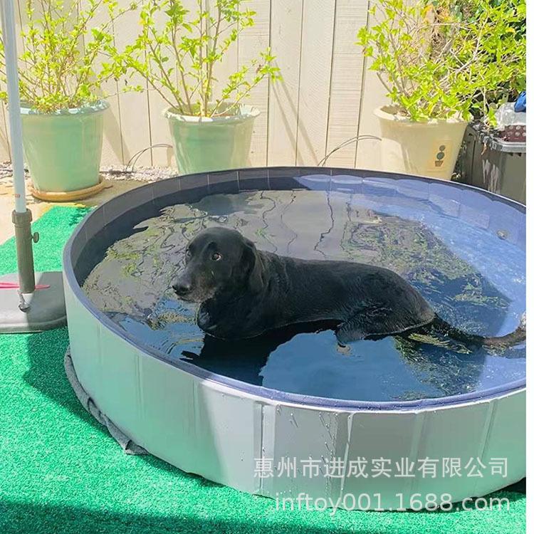宠物水池12.jpg