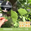 Marcadores de Libros de Flores Secas, Espécimenes de Plantas, Película de Sellado de Plástico, Colección Otoñal de Hojas de Arce, Materiales para Manualidades, Pegatinas Transparentes de Hojas, Borlas