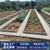 Placa de trincheira vegetal terminou horta jardim lado de cimento Pedra nova construção rural de concreto em forma de U calha Pomar piso vegetal