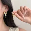 Brincos de Zircônia com Sensação de Luxo Leve e de Alto Padrão, Brincos Pendentes Exagerados Femininos, Novo Modelo 2026, Únicos e Bonitos, Perfeitos para Rostos Quadrados e Redondos