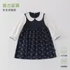 Saia de algodão puro classe A estilo primavera e outono saia sem ossos para bebês e crianças vestido com manga de renda para atividades ao ar livre mercadoria de estoque transfronteiriça