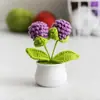 Día del Maestro Maceta Tejida Flor Artificial Acabados Adornos Decoración Hogar Amigos Mejor Amigo Regalos Regalo Flores en Maceta