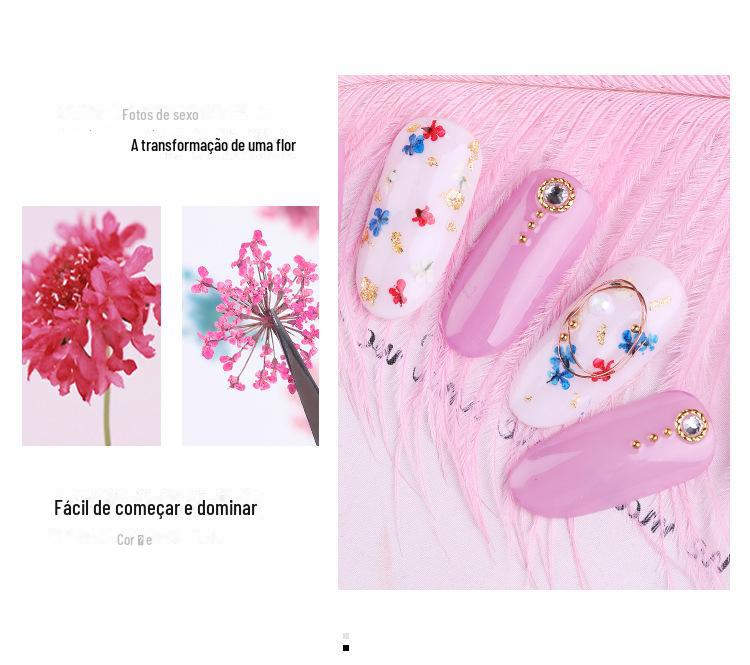 美甲干花 蕾丝干花 水仙花