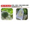 Bolsa para Frutas Bolsa de Gasa para Fresas Bolsa Protectora para Uvas Bolsa de Gasa a Prueba de Insectos y Pájaros Malla Fina Bolsa con Cordón