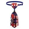 En stock Mascota Nuevo Bandera Americana Día de la Independencia Gato Perro Corbata Corbata Collar Accesorios Lazo Suministros para Mascotas