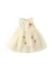 Vestido sin mangas de terciopelo fino para niña de otoño e invierno, lindo vestido tipo chaleco con falda de malla multicapa, vestido de princesa para bebé, Dropshipping