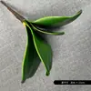 Toque suave cola simulada folhas de phalaenopsis paisagismo material floral folhas de flor de clivia planta bonsai arte floral acessórios para arranjo de flores