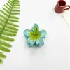 Pinza para el Cabello de Flor de Bauhinia Transfronteriza Europea y Americana para Mujer, Pinza de Tiburón de Alta Gama para la Parte Posterior de la Cabeza, Accesorio para el Cabello de Pinza Lateral al por Mayor
