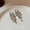 Pendientes de Borla Larga para Primavera y Verano, Combinan con Todo, para Mujer, Lujo Ligero, Gama Alta, Temperamento, Pendientes Atmosféricos, Pendientes, Pendientes de Botón, Resaltan el Rostro, Arete Pequeño, Cierre de Pendiente