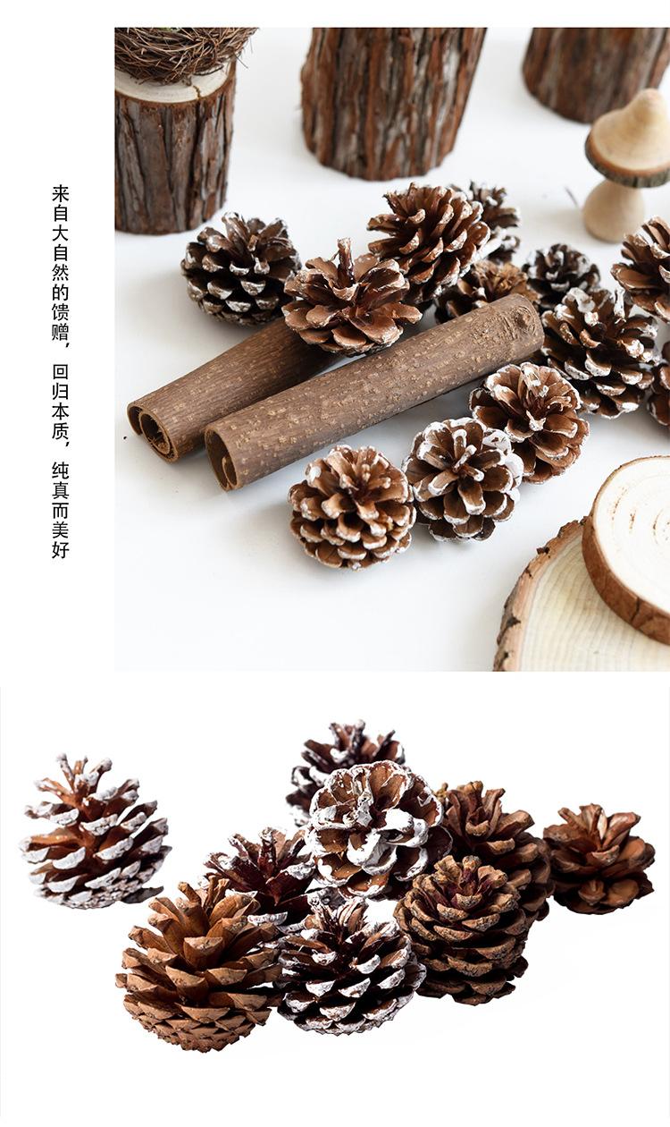 松果_05.jpg