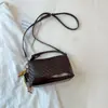Bolso Pequeño Tejido de Verano para Mujer 2026 Alta Apariencia Nuevo Bolso Cruzado Elegante Bolso de Mano Bolso Almohada Bolso Pequeño de Mano para Mujer