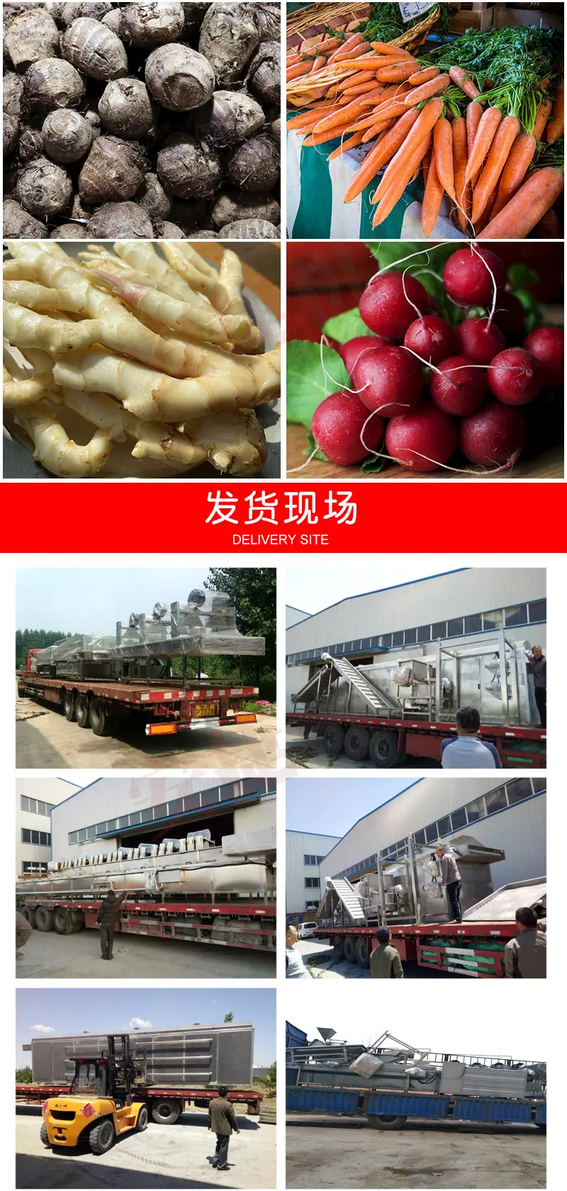 平行毛辊清洗机_09.jpg