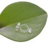 Clipe de orelha transparente invisível Acessórios de resina DIY Plástico não alérgico PC Material importado Clipe de orelha em forma de U