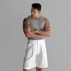 Myq Camiseta Regata Cinza Canelada Estilo Old Money Masculina Verão Slim Fit Gola Redonda Sem Mangas Estilo Coreano Roupa Fashion Madura