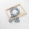 Estilo chique feminino novo boxer pequeno cachecol estilo coreano cachecol longo dupla face primavera e outono versátil estreito decorativo faixa de cabelo