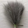 Punto Cruzado Hierba de Pampa Artificial Plumas Simuladas Accesorios de Boda Jardinería Caña Decorativa Simulada Cabello al por Mayor