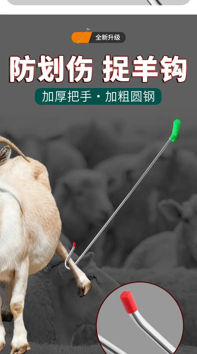 详情_10.jpg