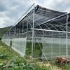 Invernadero Personalizado por el Fabricante Invernadero Unido de Arco Principal y Auxiliar Plantación y Crianza Invernadero para Hortalizas Jardín de Flores Invernadero Inteligente