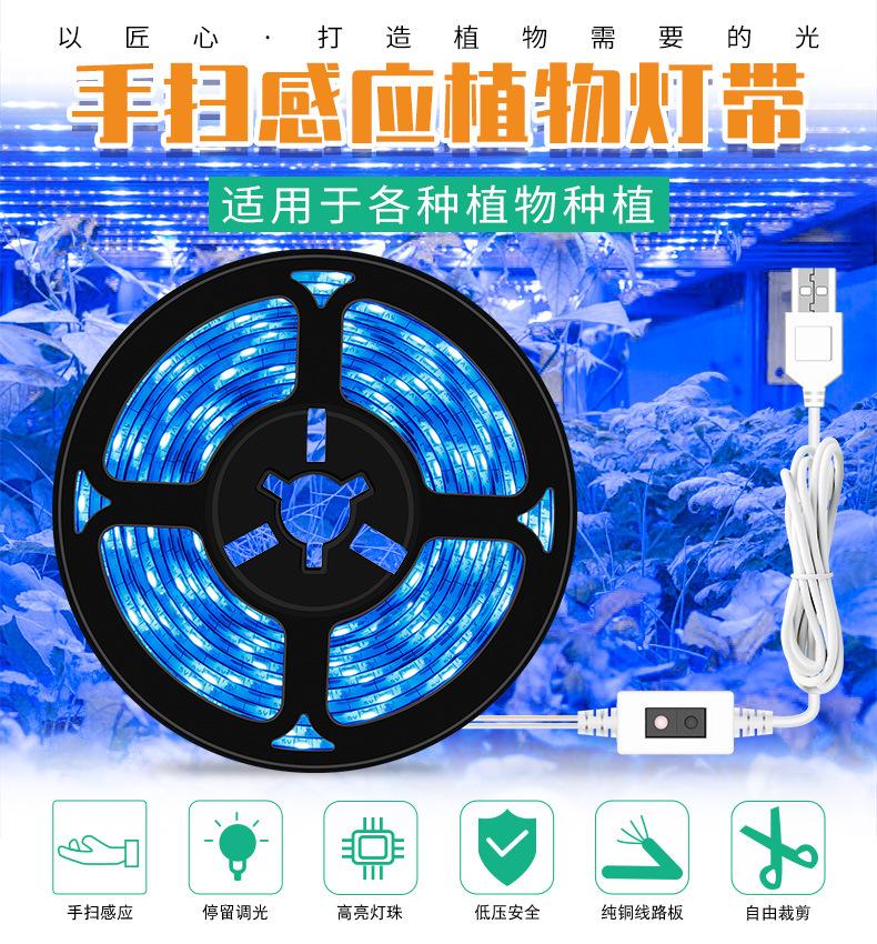 USB-手扫感应冰蓝-植物灯带-_01.jpg