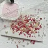 Tamaño Mixto 3-10mm Perla de Imitación de Plástico Semicírculo Diamante Decoración de Arte de Uñas Resina Parche Cuentas Accesorios de Joyería DIY