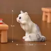 Paisagem miniatura criativa, figuras realistas de gatinhos em estilo cartoon fofo, bonecos de animais, acessórios decorativos, pequenos enfeites de mesa