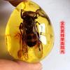 Colgante de Ámbar con Espécimen de Insecto Real Ámbar Insecto Gota de Agua con Forma de Insecto Escorpión Mariposa Abeja Flor Ámbar Transmisión en Vivo Venta al por Mayor