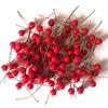 Frutas de Espuma Vermelha Similadas de Cabeça Única 10mm Transfronteiriças, 100 Frutas Peroladas Cereja Pera, Fabricante de Suprimentos de Natal