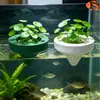Cesta de Plantio Hidropônico para Aquário Multifuncional Fixação Livre Flutuante Automática Simbiose Peixe e Planta Plantas Verdes Aquáticas Vaso de Plantio de Grama Aquática