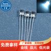 LED 5mm cabeça chata plug reto luz branca branco quente tubo luminoso cabeça chata f5 contas de luz branca super brilhantes