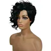 Comércio Exterior Transfronteiriço Popular Peruca Cacheada Pequena Cabelo Curto Feminino Cabelo Curto Cacheado Seda de Alta Temperatura Seda de Alta Temperatura Peruca Artificial